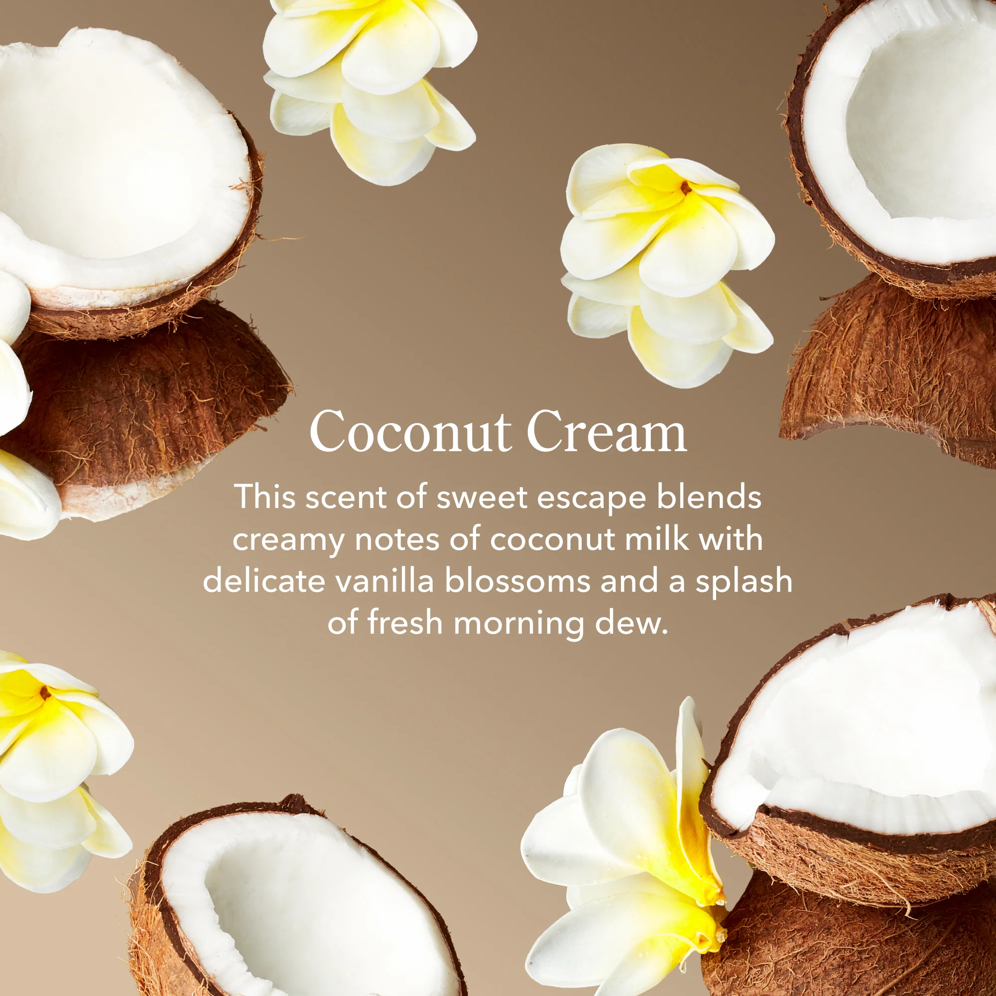 Coconut Cream Mini Hand Cream Set of 3 - Image 5