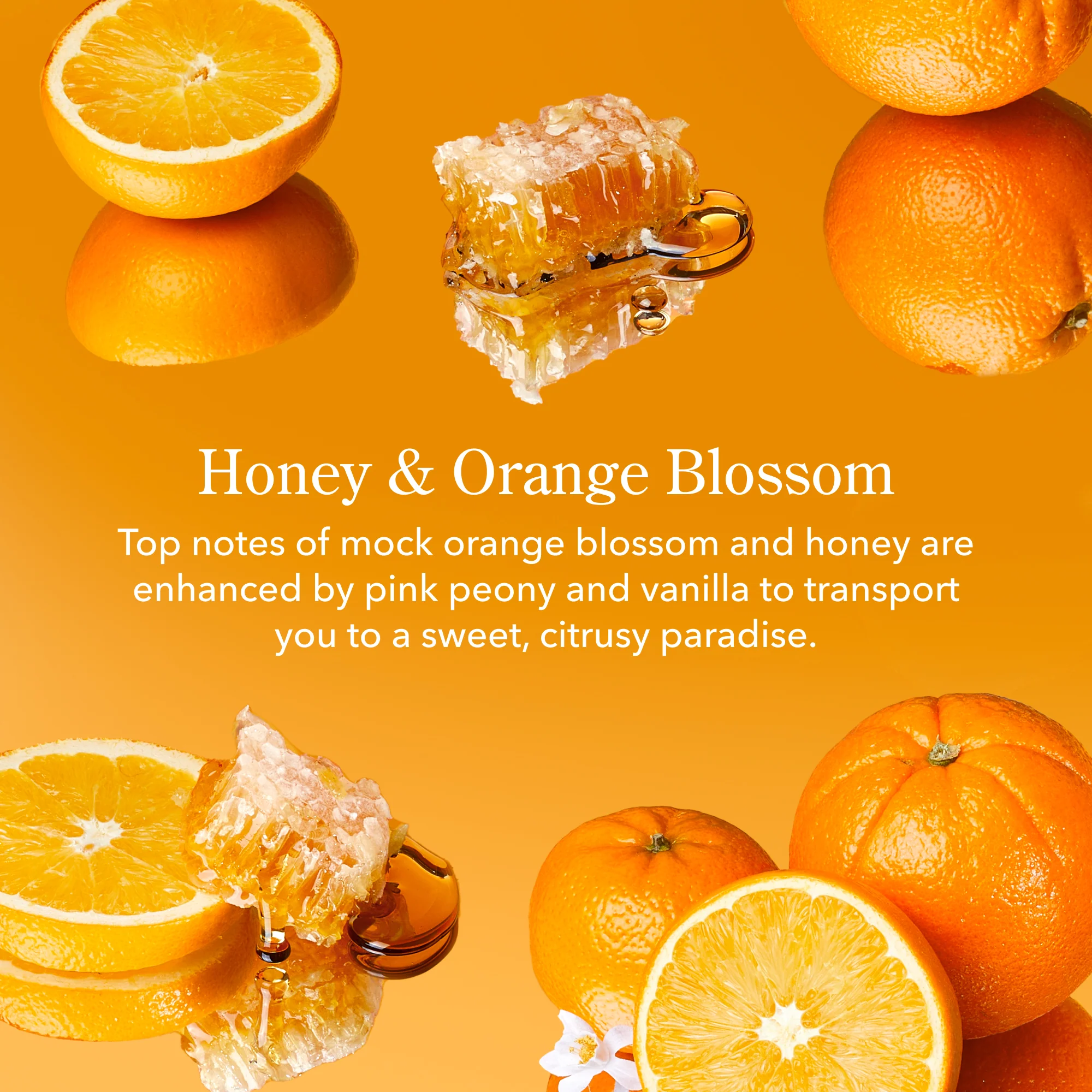 Honey & Orange Blossom Mini Hand Cream Set of 3 - Image 5
