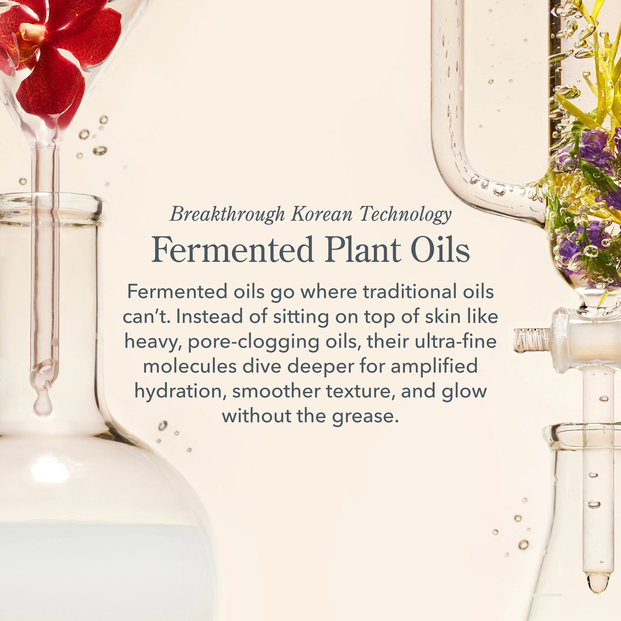 The Glass Skin Routine - Image 3