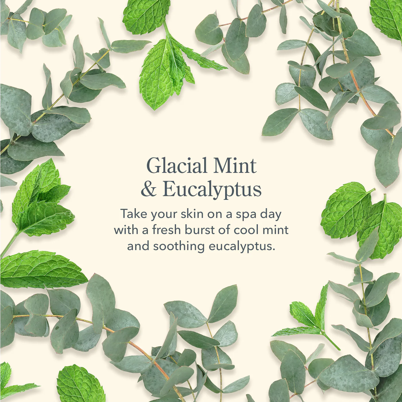 Glacial Mint & Eucalyptus Caddy Set - Image 4