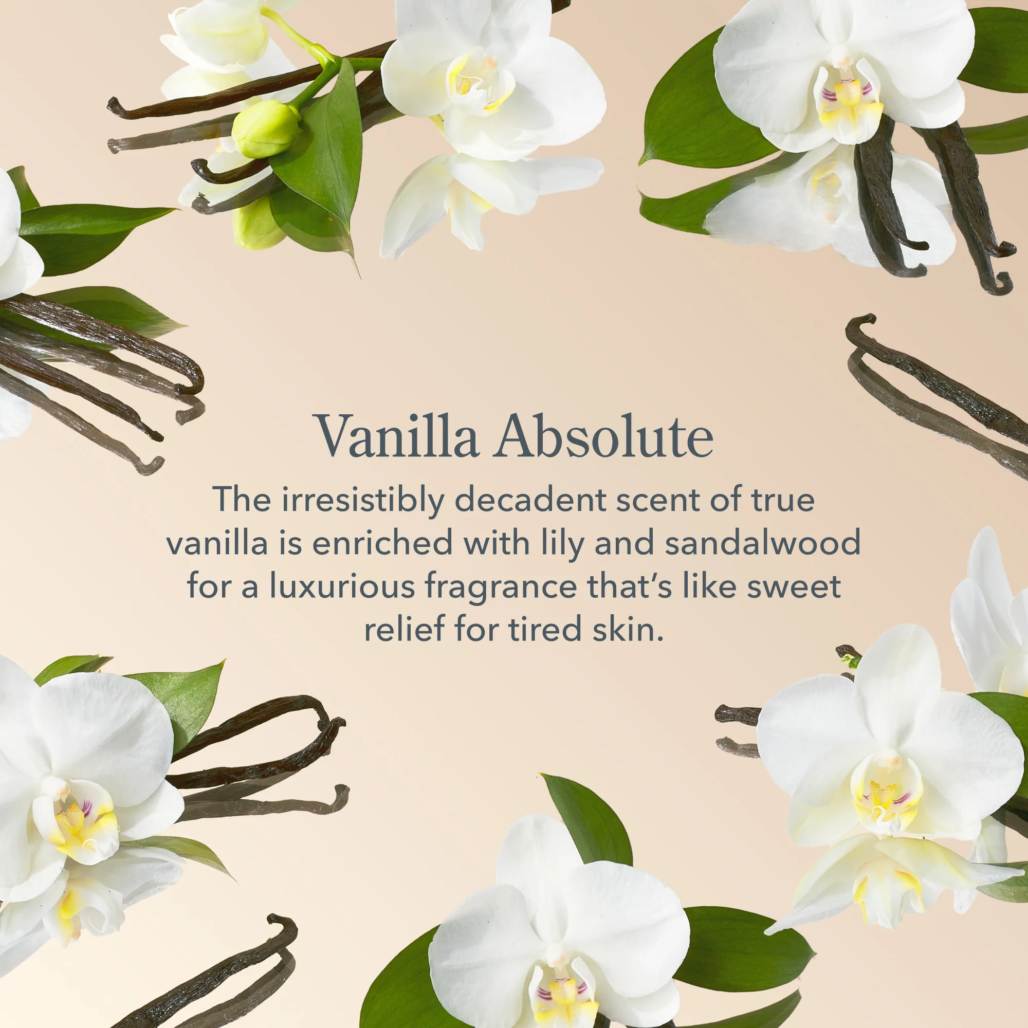 Vanilla Absolute Whipped Body Cream - Image 4